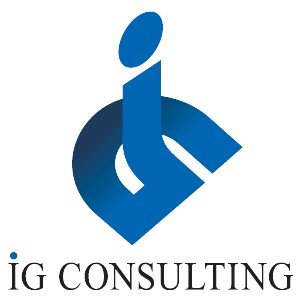 アイジーコンサルティング