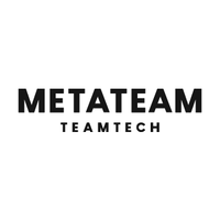 METATEAM