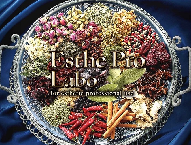 プロラボホールディングス