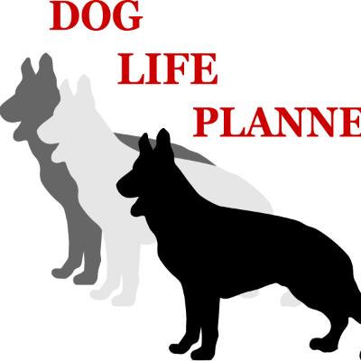 ディーエルピー