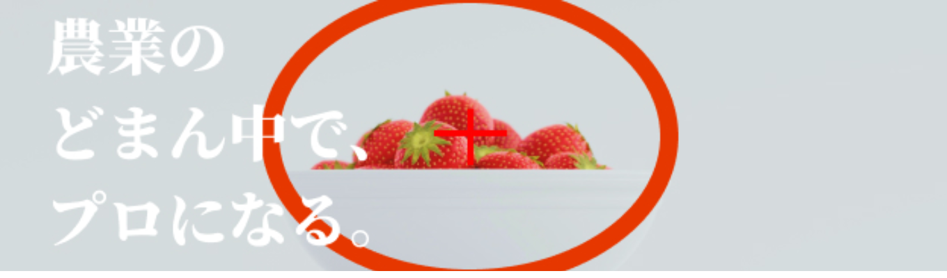 忙しい人向け【選考直結/ワンキャリア限定】日本の農業界を牽引する開発型メーカー/一次産業のアップデートを。募集
