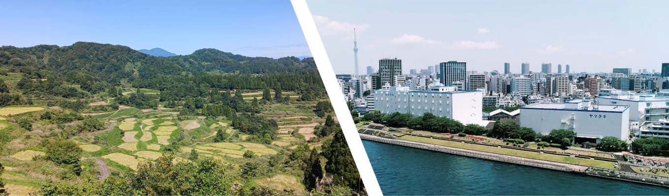 【26卒 WEB説明会】物流、食品、情報、不動産の4事業で社会を支える企業│ヤマタネ│イベント