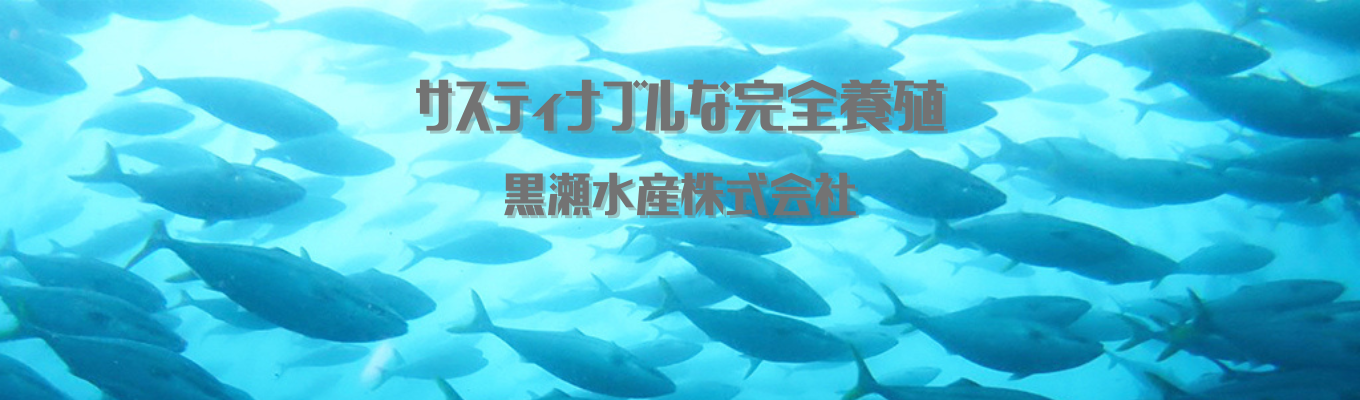 【オンライン開催】～サスティナブルな完全養殖について～イベント