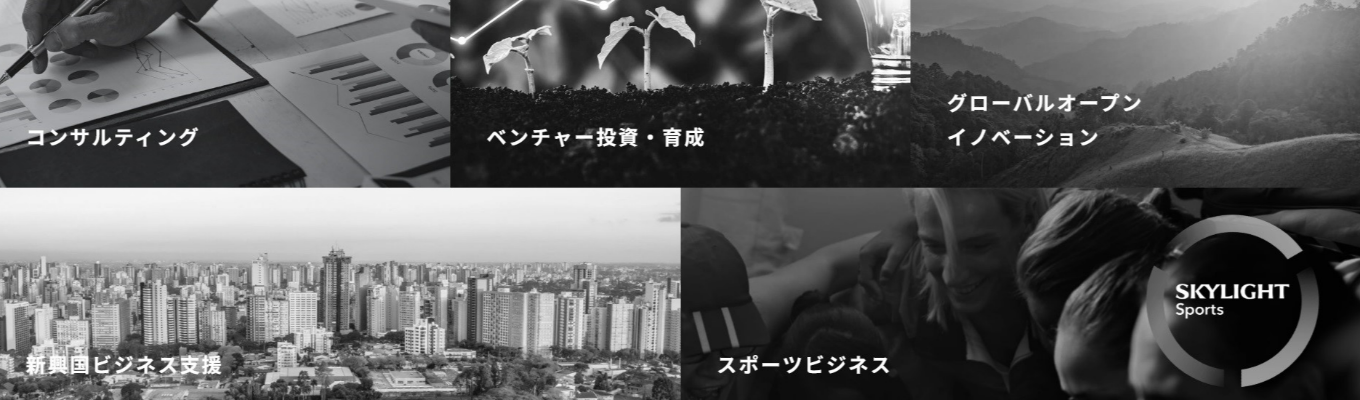 【本選考直結】＜徹底した顧客志向でリピート率9割超＞会社説明会＆コンサルタントとの座談会(スカイライトコンサルティング)