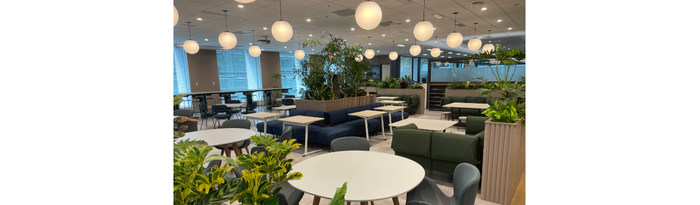 8月下旬＜札幌・仙台・名古屋・大阪・博多 対面開催＞会社説明会・カジュアル座談会イベント