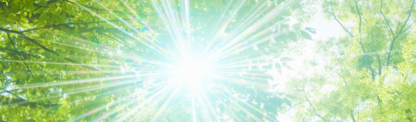 【Deloitte】現場コンサルタント登壇！リスクアドバイザリー会社説明会イベント