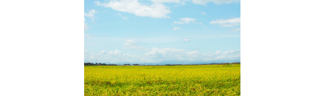 【WEB】先輩社員トークセッション ～アレフ社員の○○なハナシ～募集