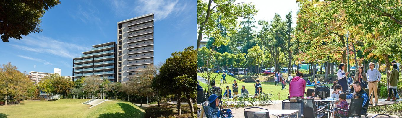 【特典あり！】本選考直結！ソーシャル・デベロッパーの事業・風土・人、一度で全てを掴める！会社説明会