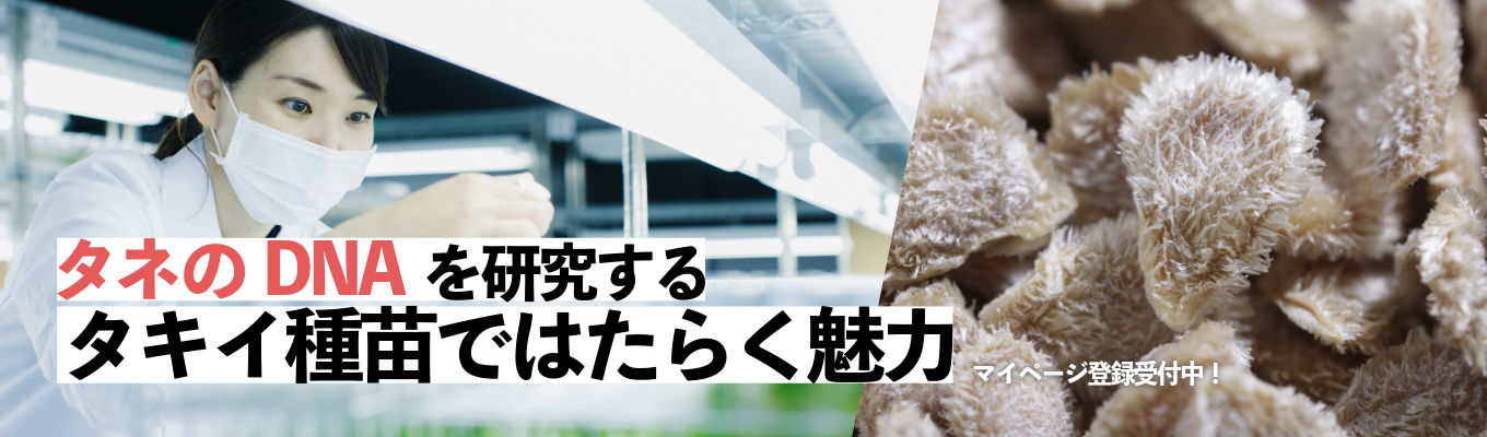 【技術職】食の原点を担う！種苗業界の仕事を知る｜プレエントリー受付中