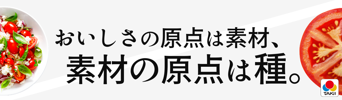 一粒のタネが世界180カ国の食卓に届くまで｜28卒プレエントリー受付中｜マイページのご登録はこちら