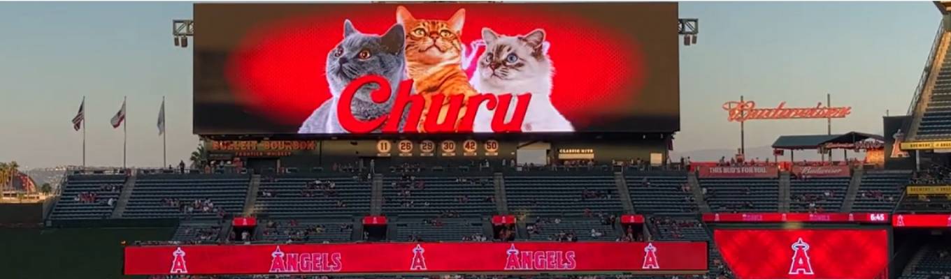 文系向け■オンライン説明会■ 次々とヒット商品を生み出し、前年比120%超の爆速成長を続ける！