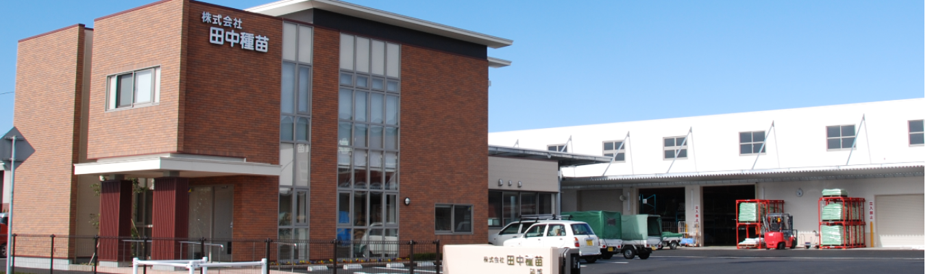 【8月9月開催インターン】【短時間オンライン開催】社長と話せるチャンス!!田中種苗のこと、種苗業界のこと詳しく知ってください!!
