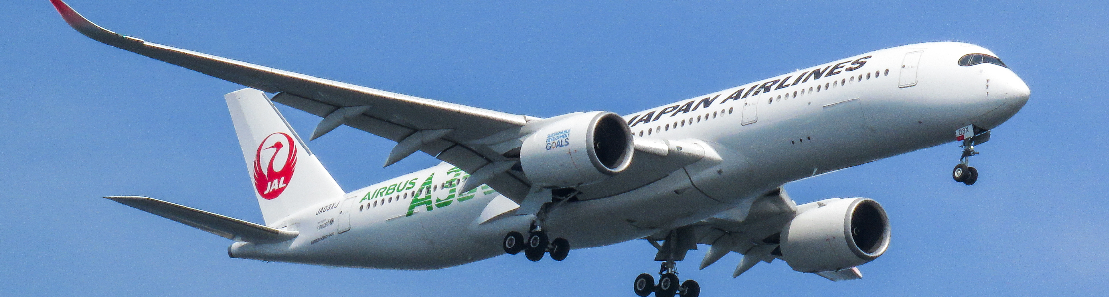 【日本航空（JAL）】インターン プレエントリーイベント