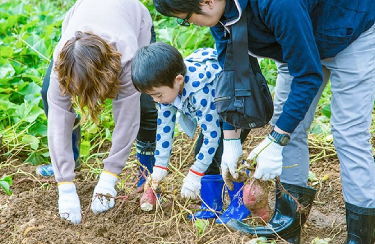 社員の家族のためのイベントも