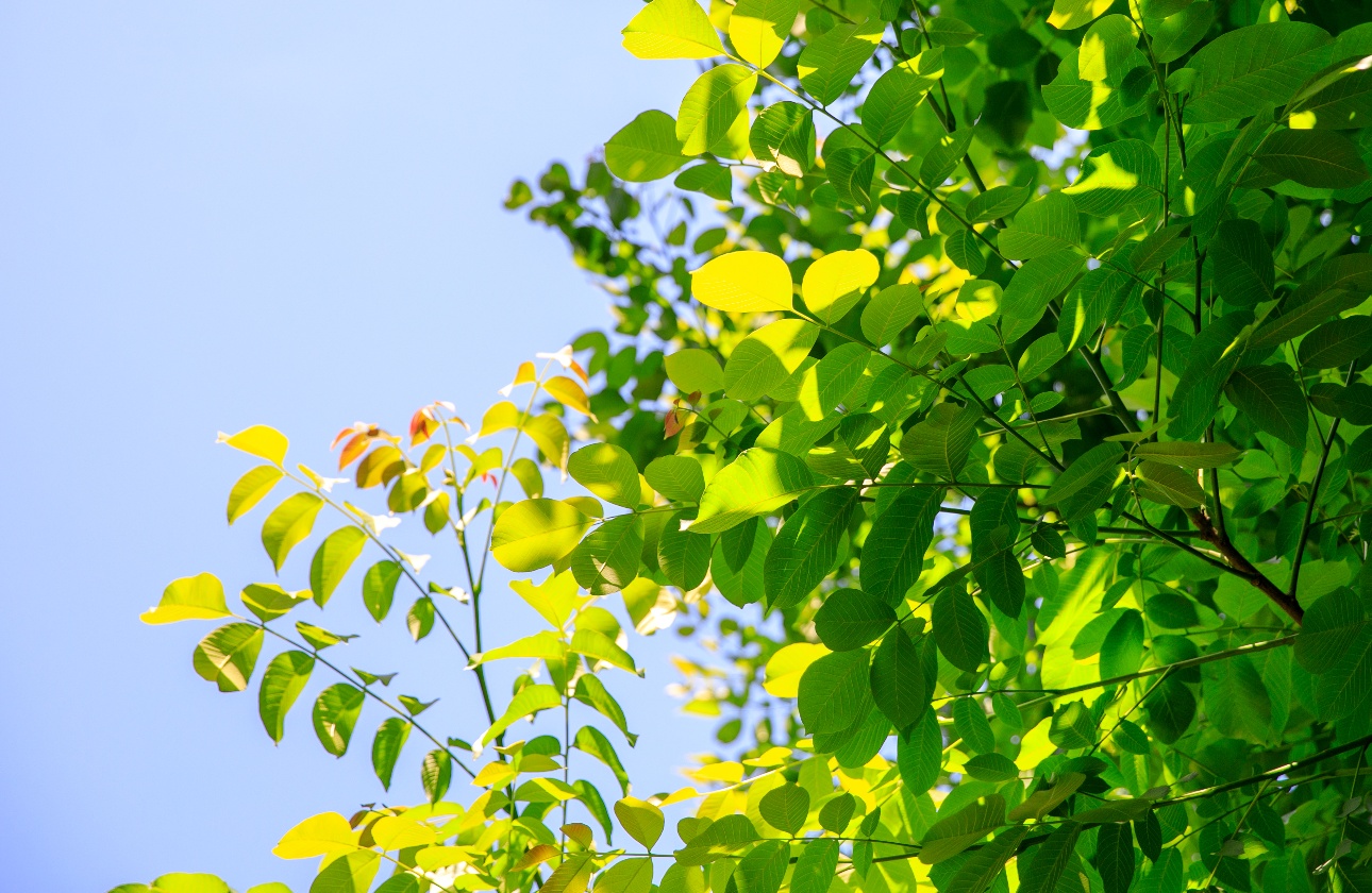 笑顔の循環を生み出す組織でありたい