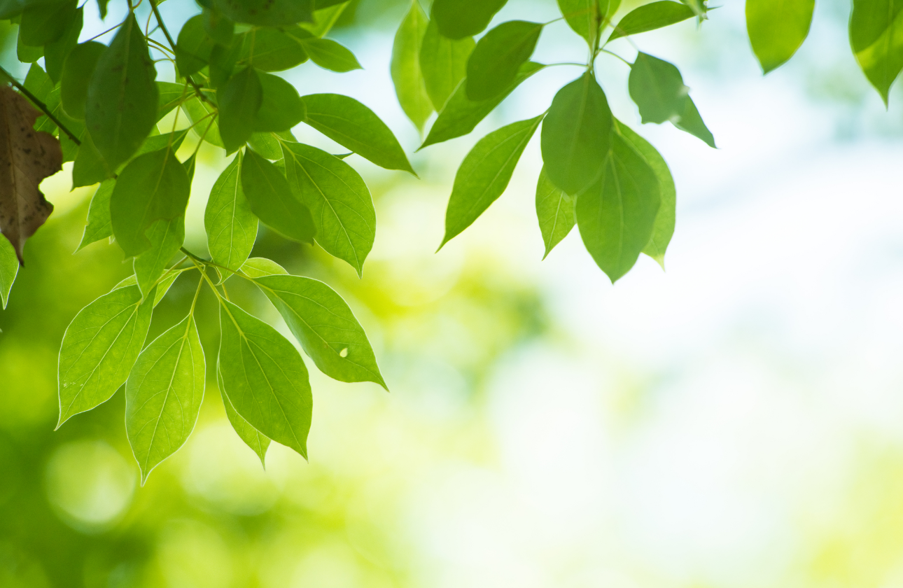 Environmental Considerations 環境に配慮した素材開発・提供