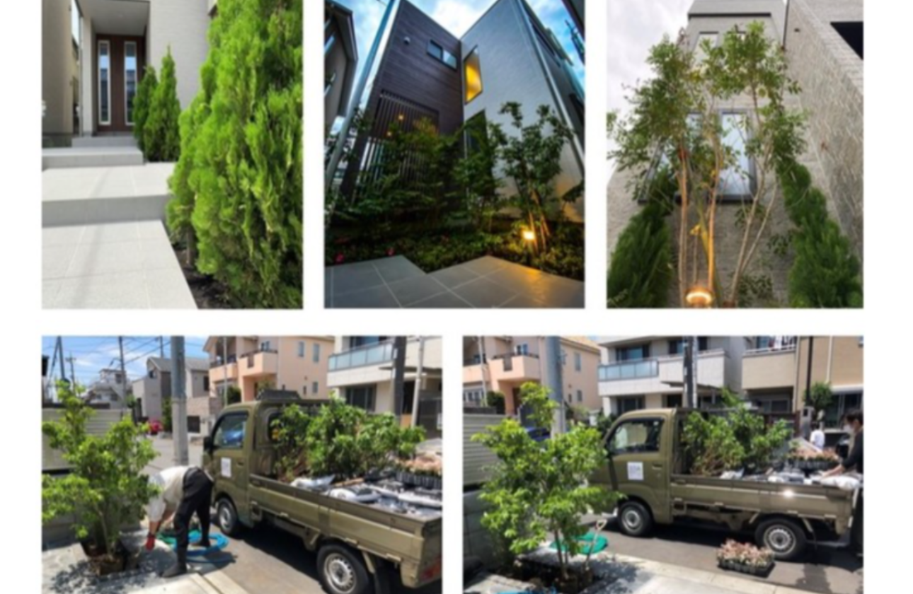 ◆ONE TREE, MAKE A FOREST PROJECT◆