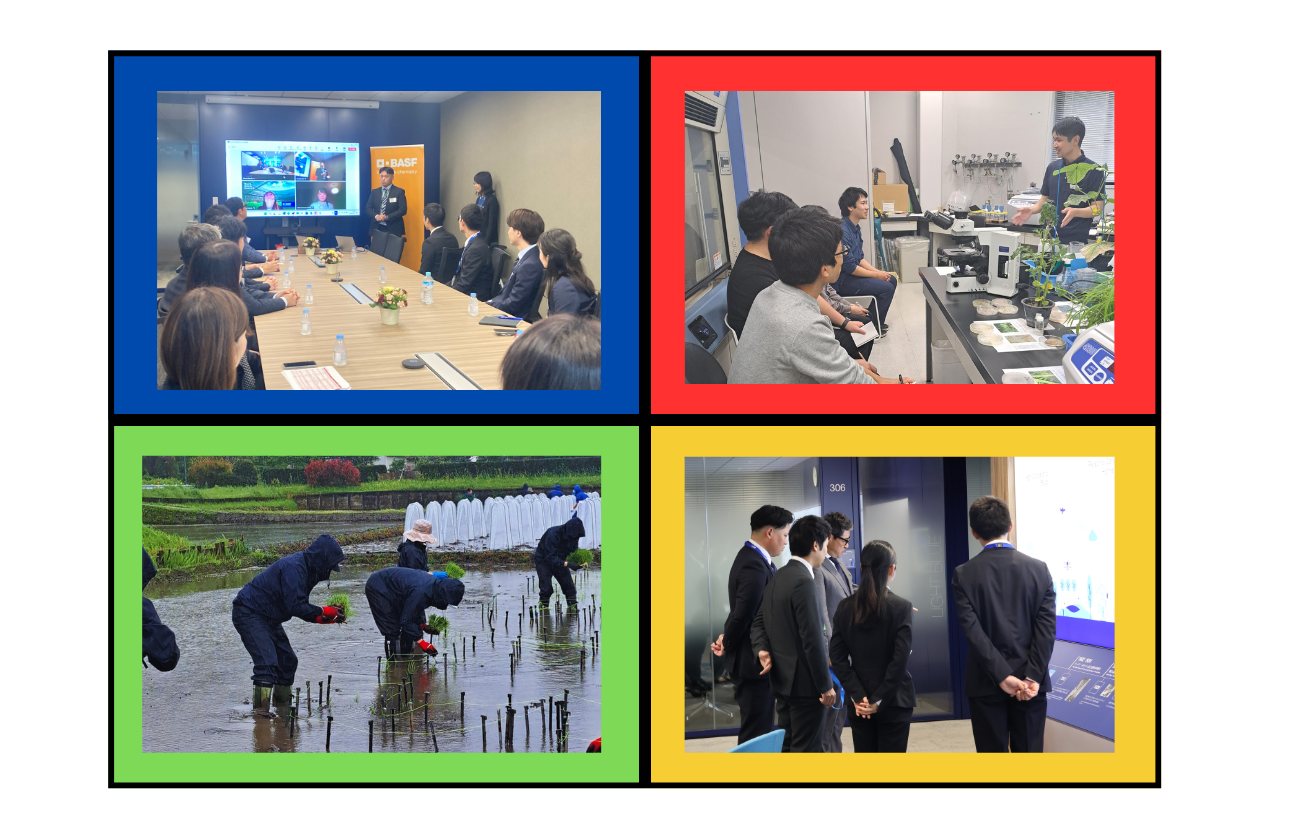 新入社員研修（2025年度実績）