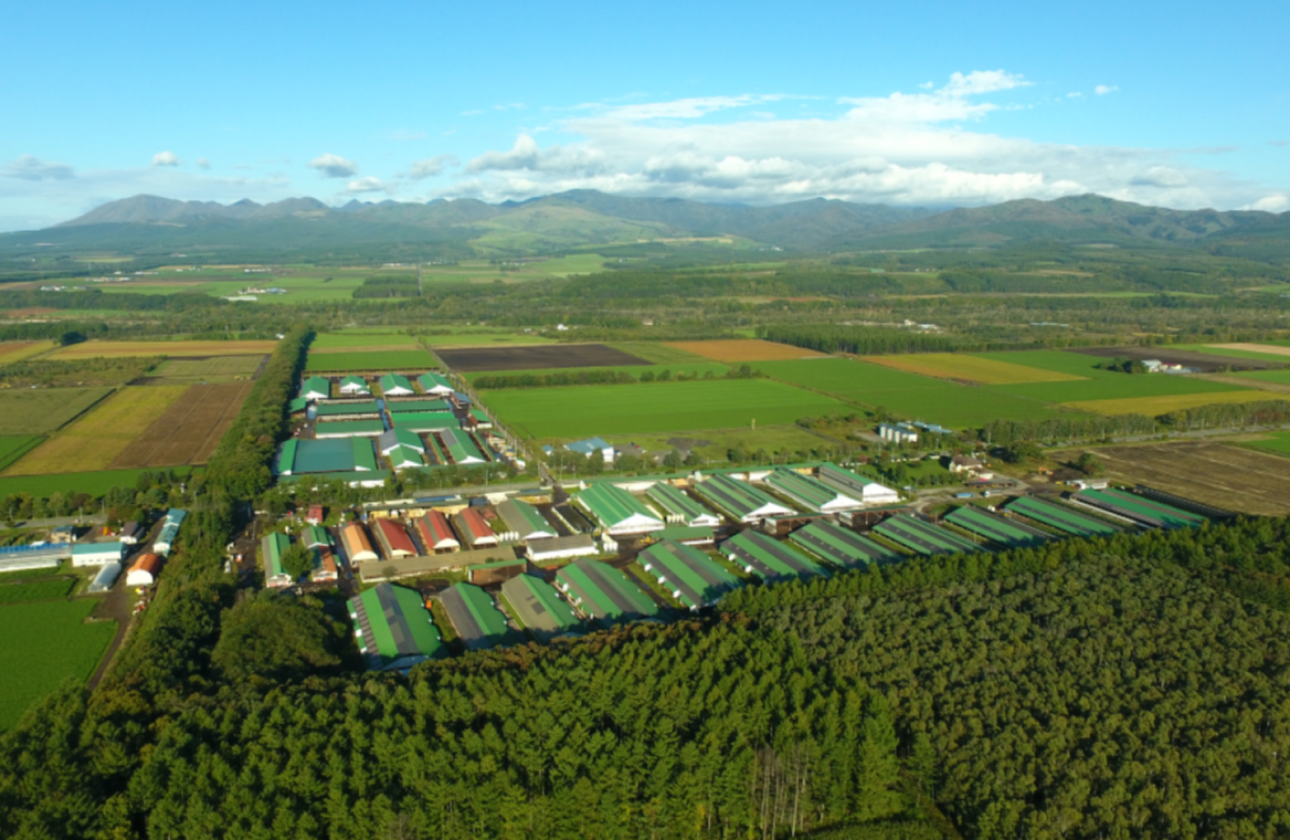 自然豊かな職場＆生活環境。主な事業拠点は「農業王国」北海道・十勝地方