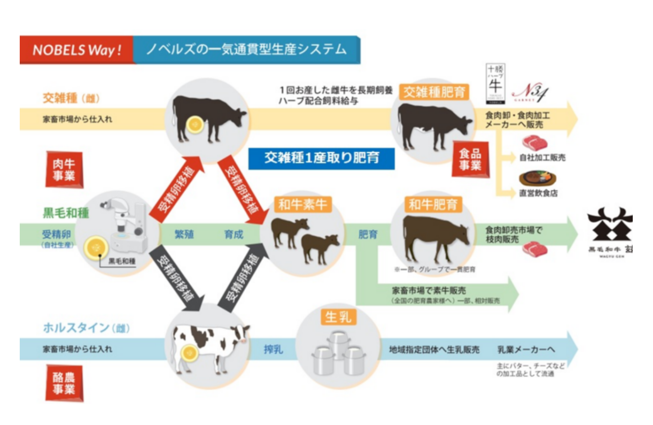 先進的な畜産事業モデルを基盤に、肉牛事業、酪農事業を相乗効果で大規模に展開