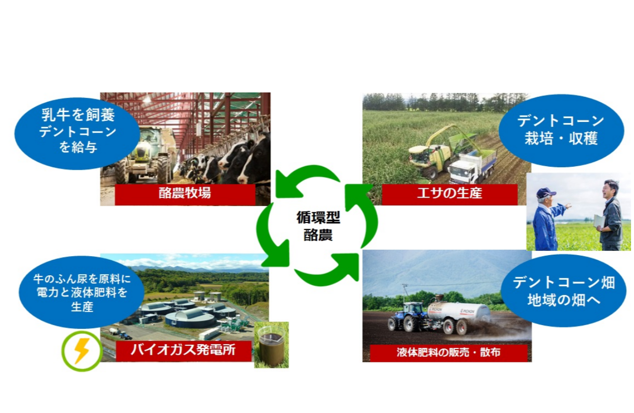耕畜連携を通じて「資源循環型酪農経営」を大規模に展開