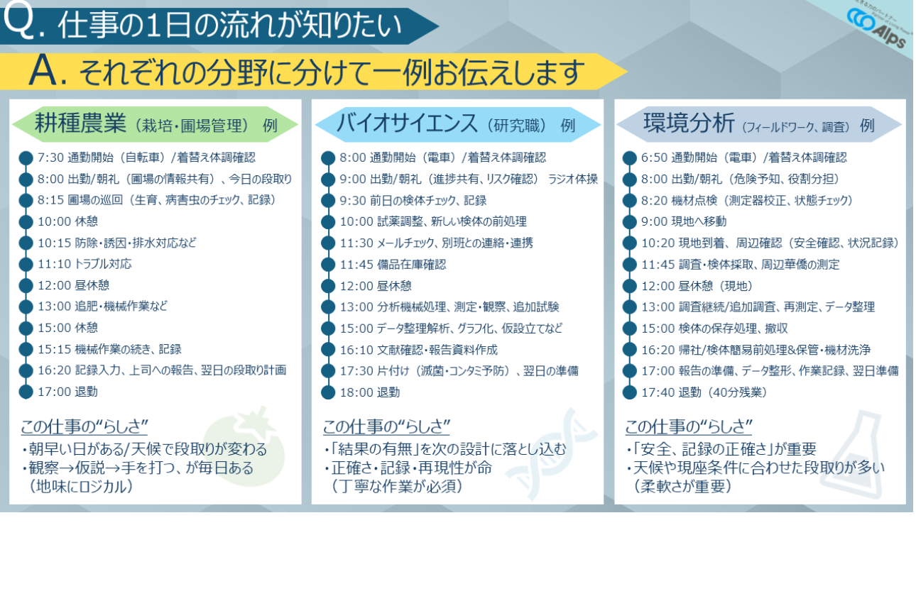 入社後の仕事イメージ（1日の流れ例）