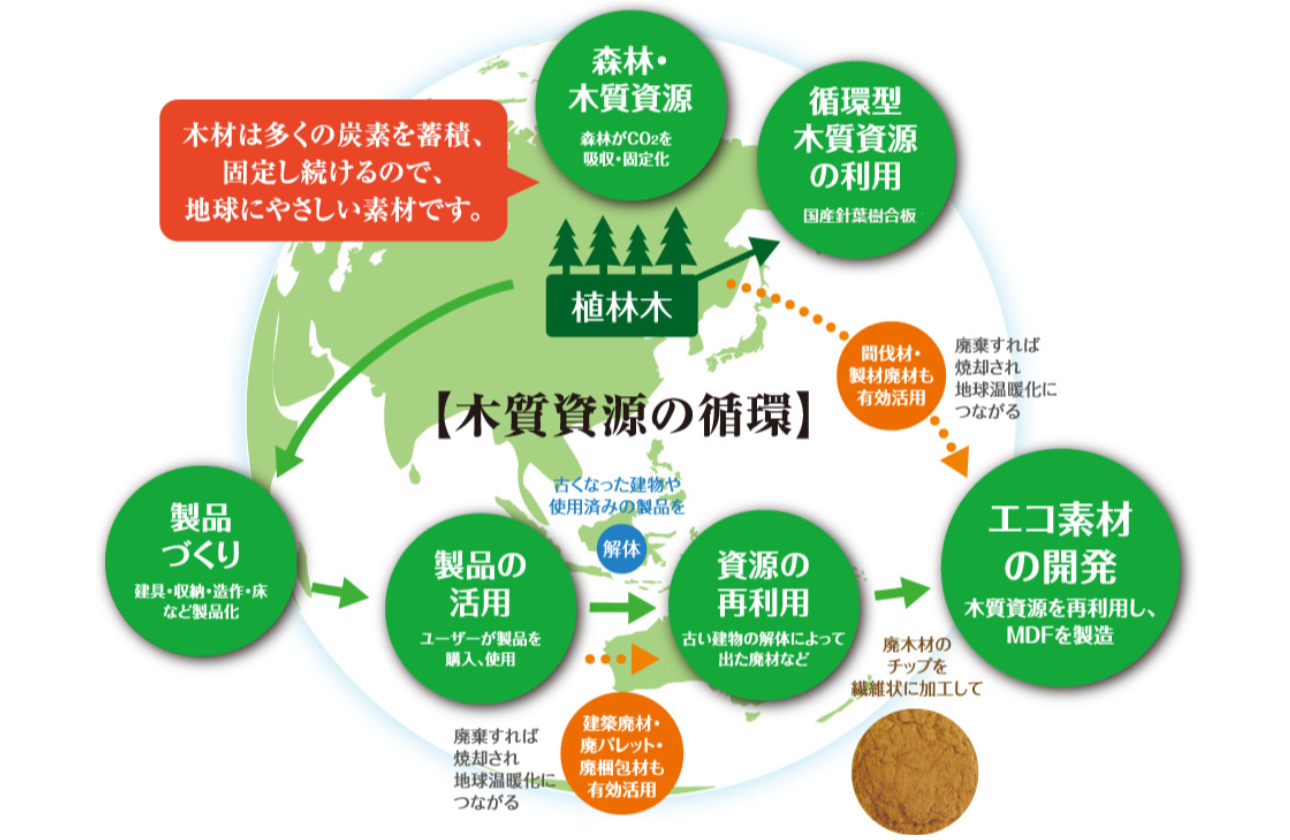 森林循環への貢献