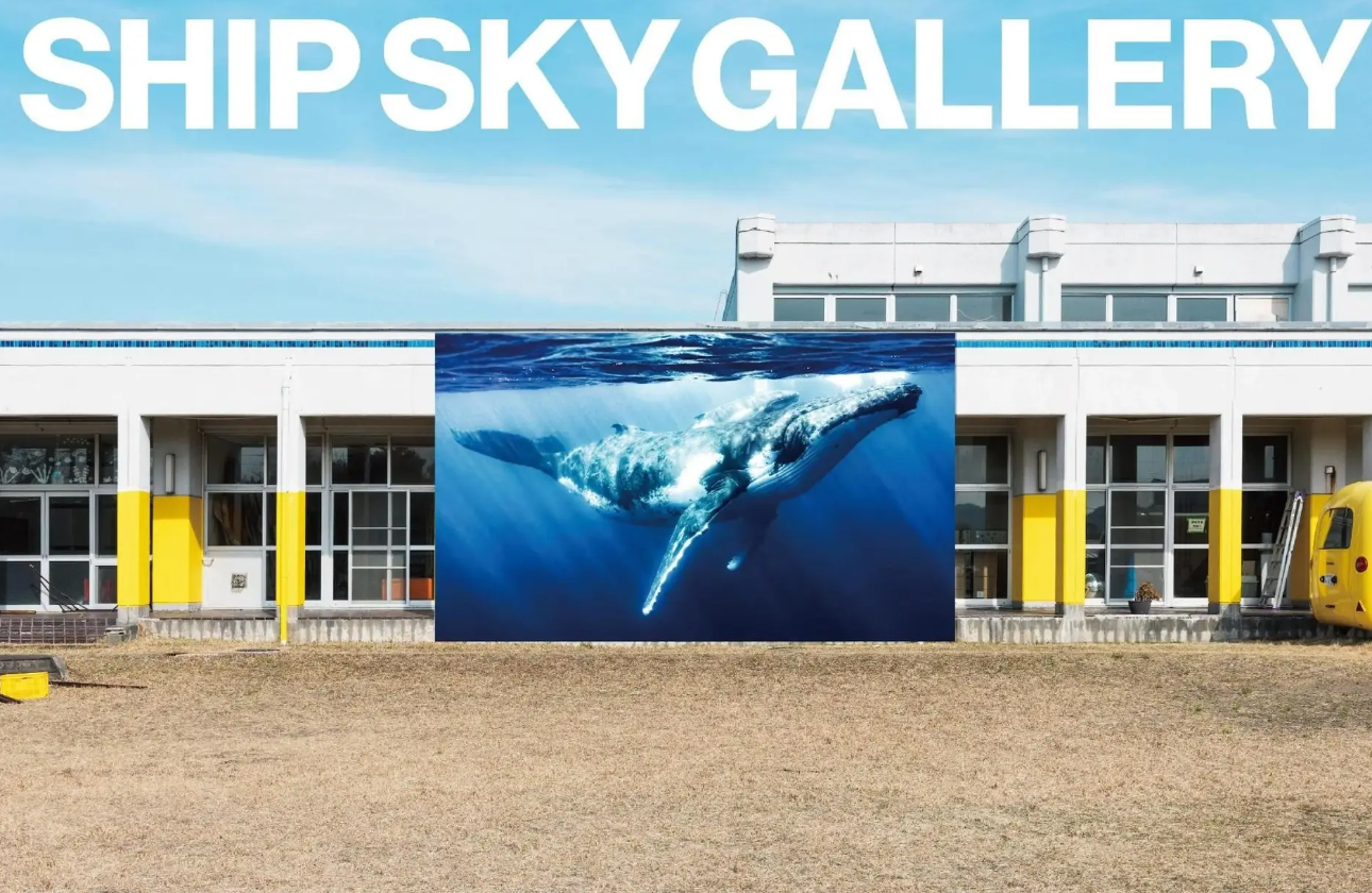 SOCIAL ACTION / SHIP SKY GALLERY 青空動物写真展