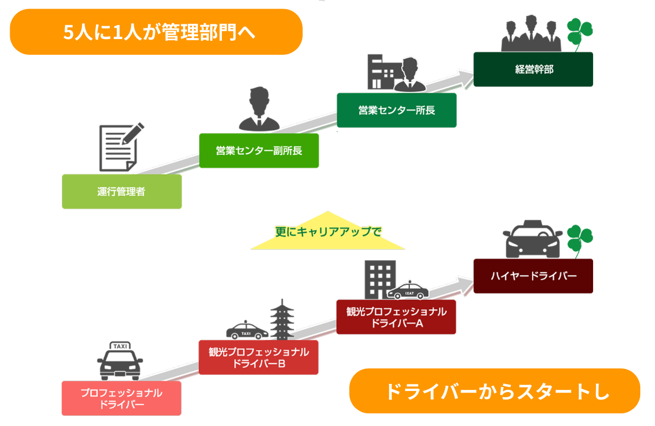 【キャリアステップ】ドライバーからスタートし、5人に1人が管理部門へ。現場経験を起点に描く、広いキャリアパス。