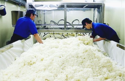 お酒はまるで生き物のように、その都度違う顔を見せます。今までの経験から数値で表せない細かな調整を行い、常に高い品質を保っています。