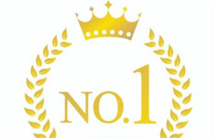 グループ売上業界トップシェア