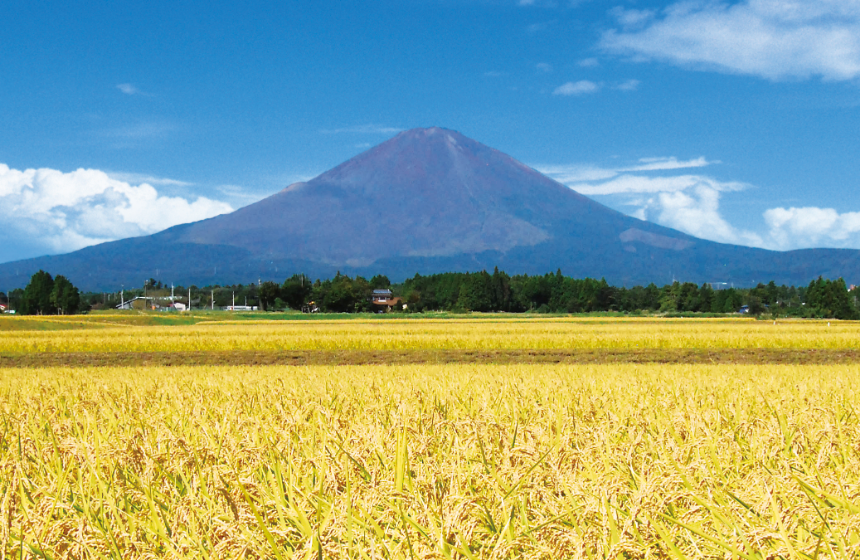 静岡県の自然環境維持にも貢献しています!