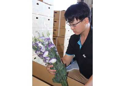 地元でとれた新鮮な農産物や生花を市場へ販売して、皆様の元へ届ける業務をしています。