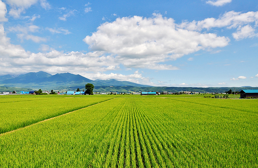 「国民生活」、「日本の食」、「日本経済」を支える３つの事業